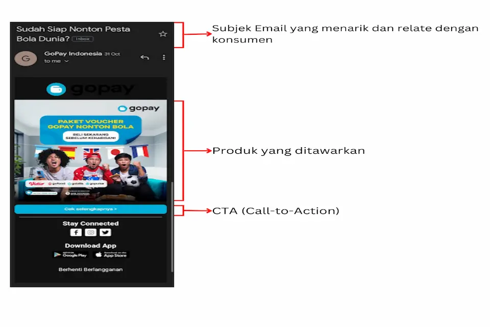 Contoh Email Marketing Update