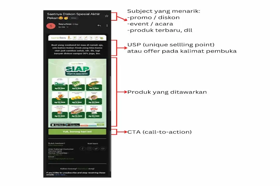 Contoh Email Marketing Promosi