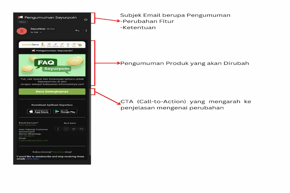 Contoh Email Marketing Update